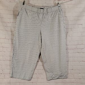 Talbots Blue And White Striped Cropped Pants Pockets Size 2X